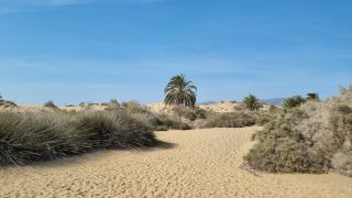 2023-GC--Mapalomas dunas-S123-255.jpg
